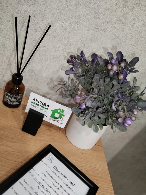 Уютная квартира-студия