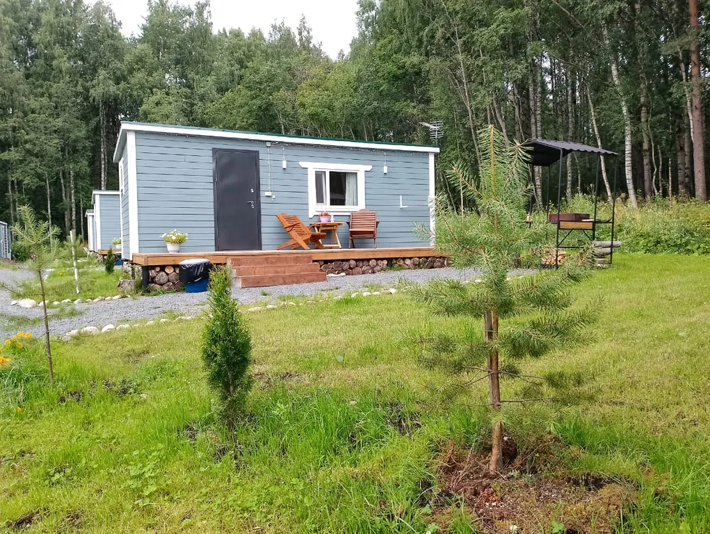 Мелодия леса