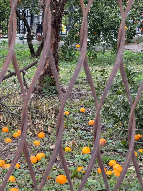 Дом возле озера с 2 террасами и отдельной спальней