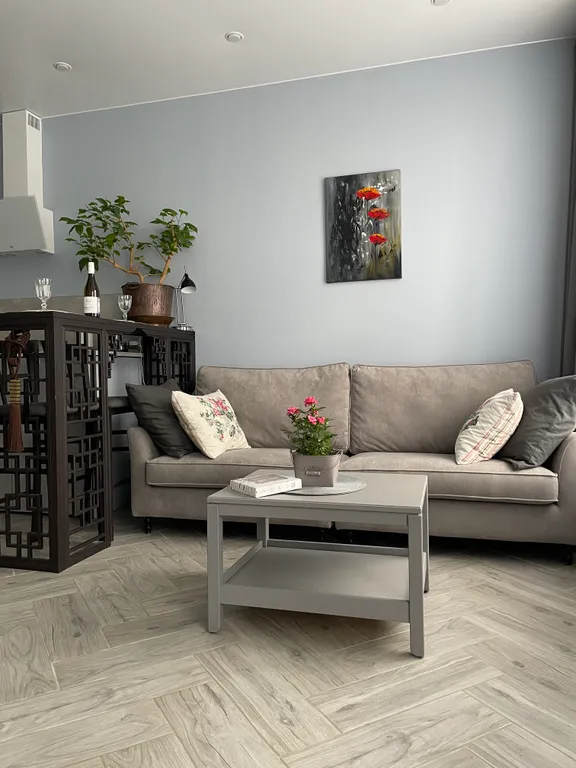 New apartment dream of Peterhof