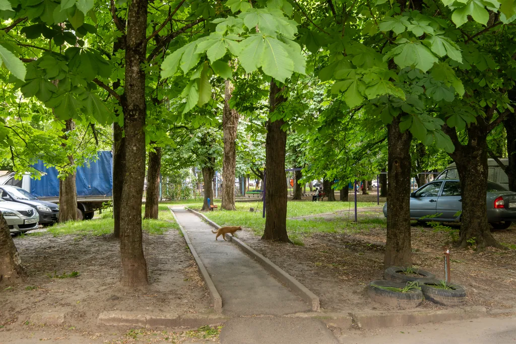 Уютная 2-комнатная квартира в Ю-З районе