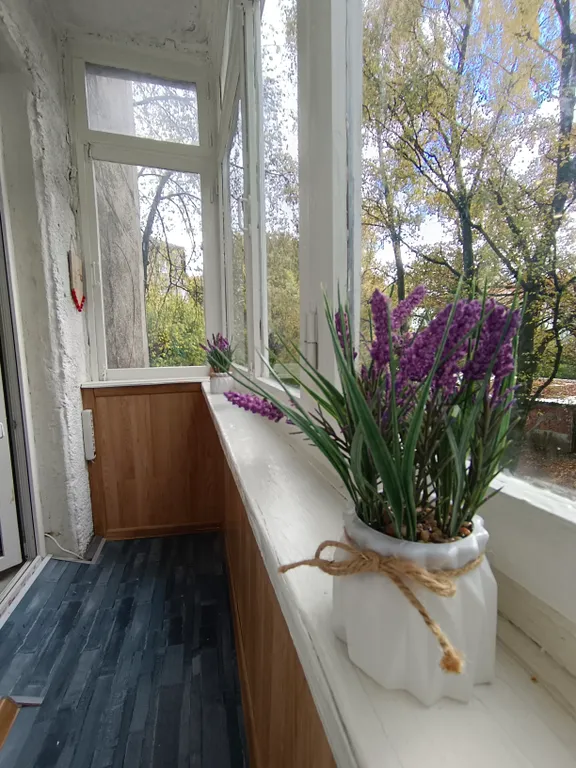 Квартира Квартира у Зоопарка — Калининград