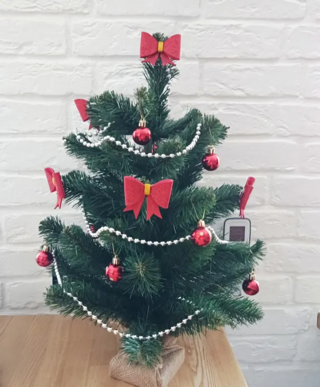 Красная студия в центре города для деловых поездок и семейного отдыха