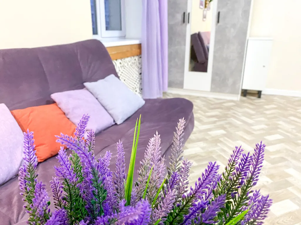 Квартира Квартира Счастье жить в центре Севастополя в самой лавандовой квартире — Севастополь