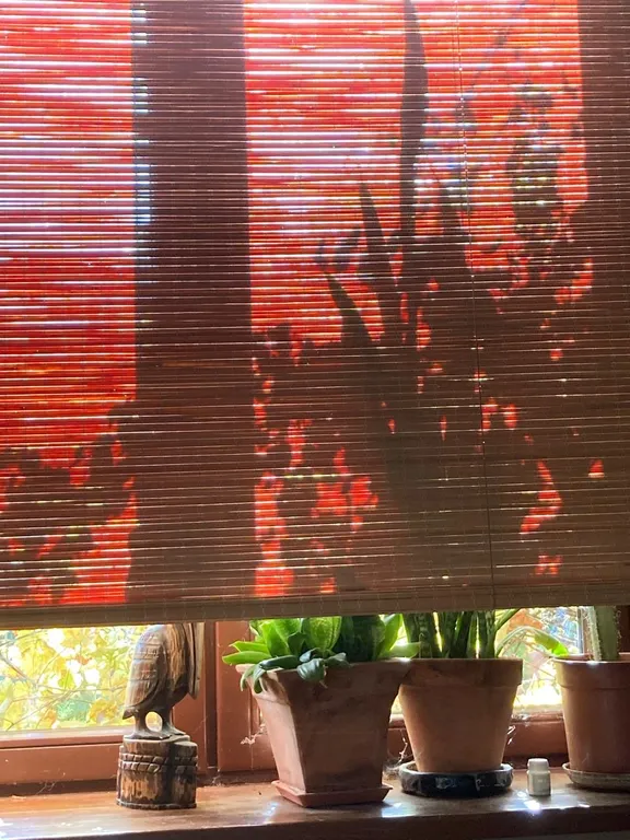 Дом с пляжем у моря