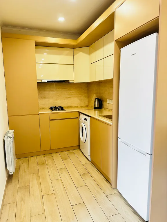 Suite apartment on Pushkin street