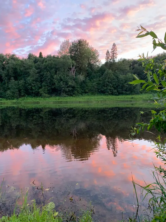 Коттедж Уютная и комфортная ХижInna с русской банькой в лесу у реки — Волхов