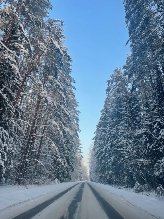 Дом на просторе