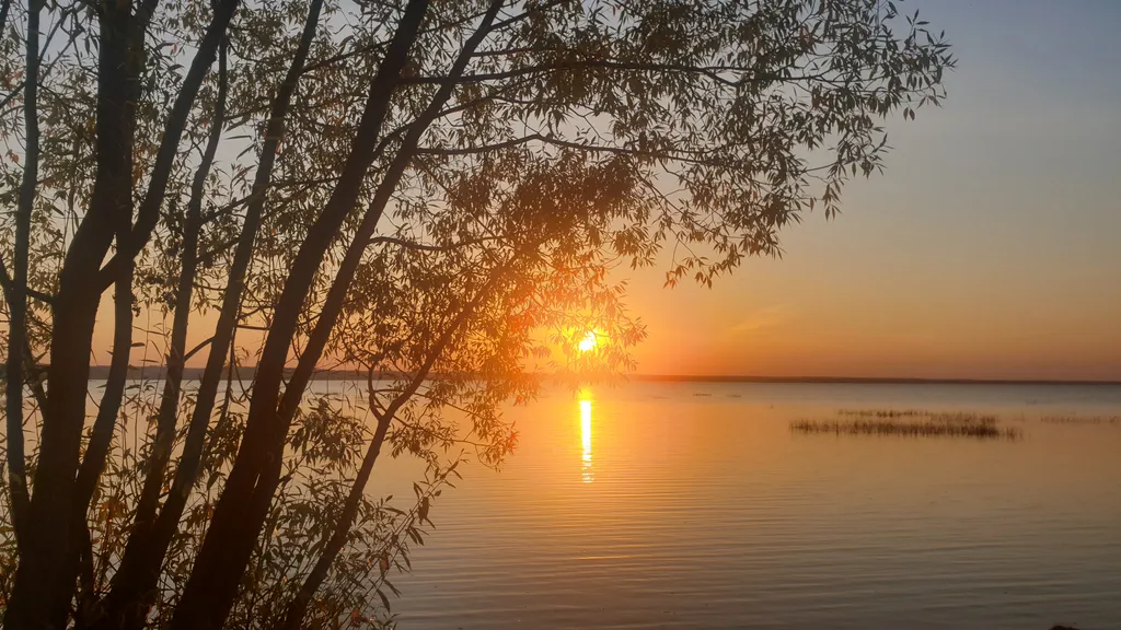 Комфортная, уютная квартира, в 5-ти минутах езды от центра города