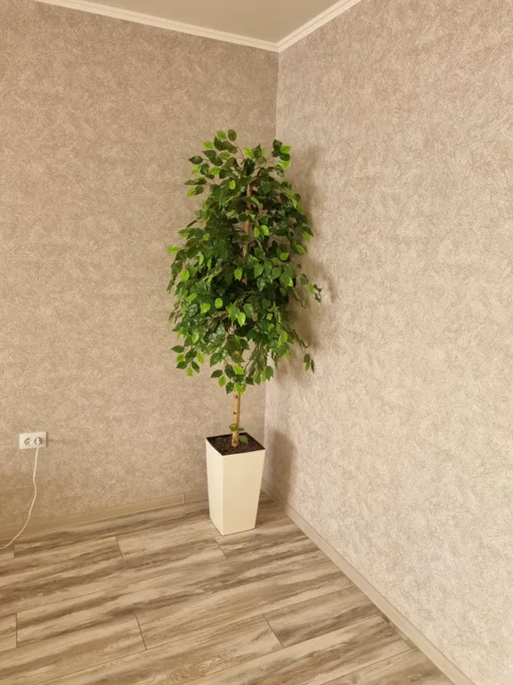 Квартира для вашего отдыха