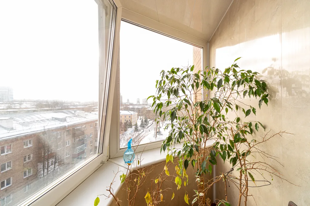 Квартира с видом на парк у трк планета