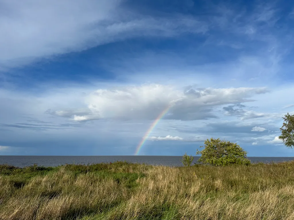 Дом на Ильменском глинте