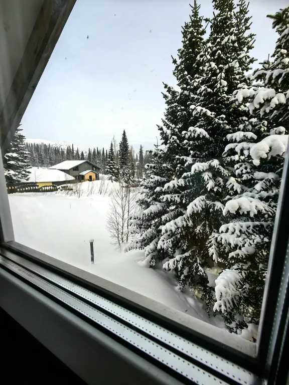 Коттедж рядом с сектором Б