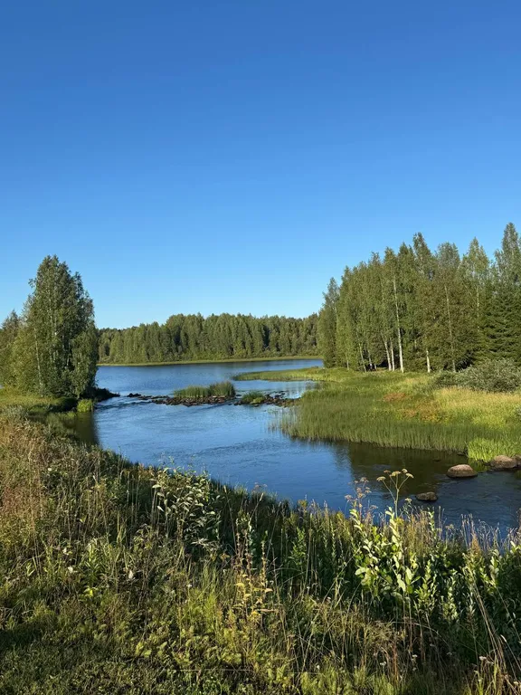 Домик в живописном месте у воды