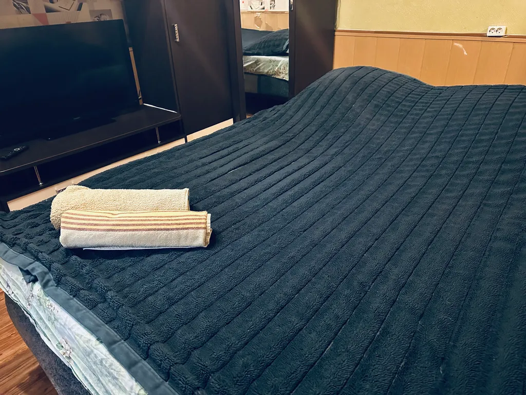 Квартира в центре — аренда посуточно в Тверь