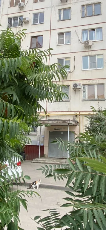 Квартира Просторная квартира — Волгоград