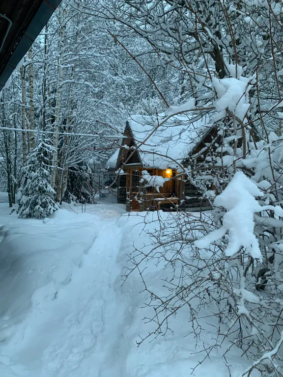 Коттедж Уютная и комфортная ХижInna с русской банькой в лесу у реки — Волхов