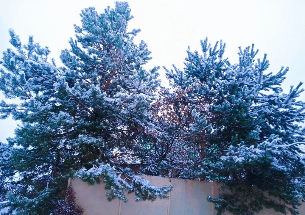 Уютный домик с русской банькой