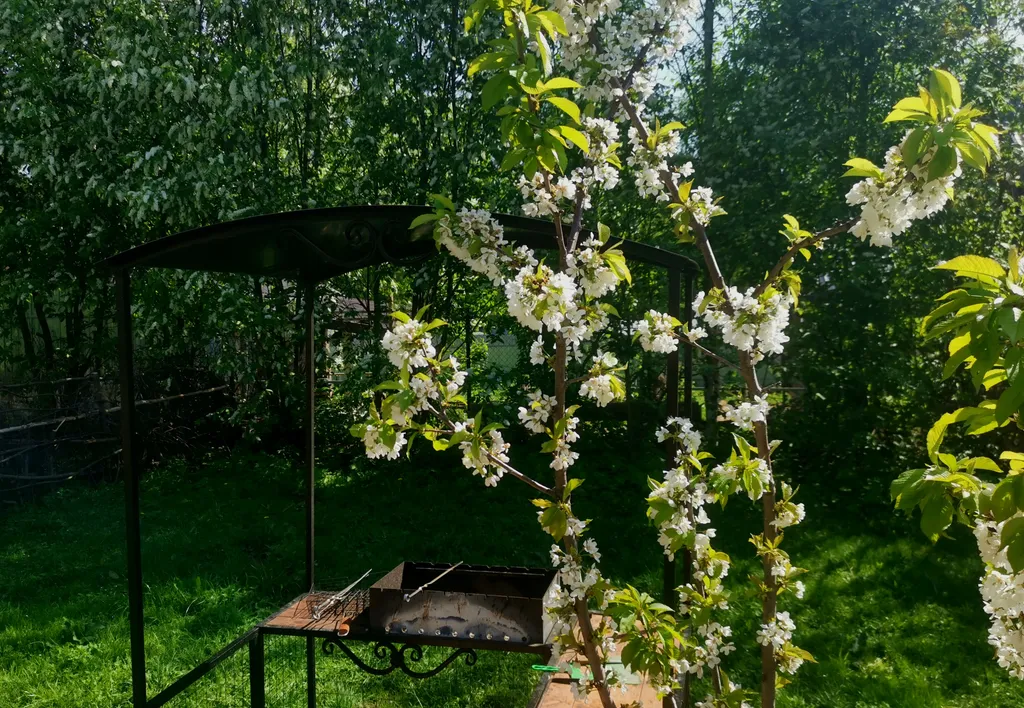 Дом дизайн 20соток баня экскурсии на ретроавто "Винтажные туры" центр