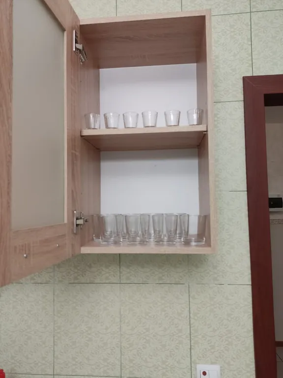 Квартира Большая квартира рядом с метро — Санкт-Петербург