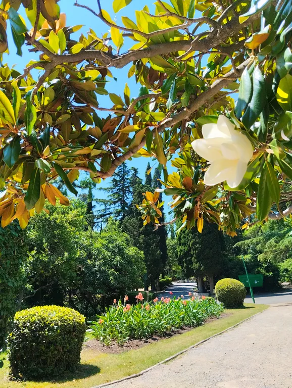 Самое уютное местечко на юбк ялта