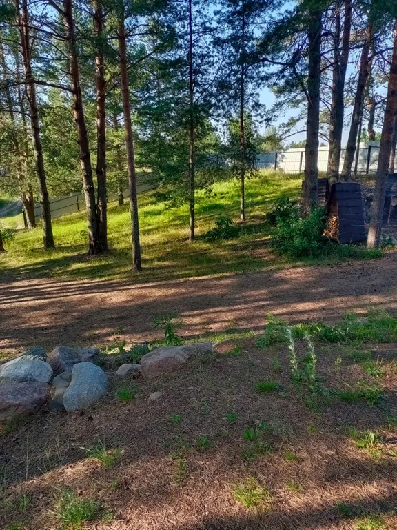 Домик на горе