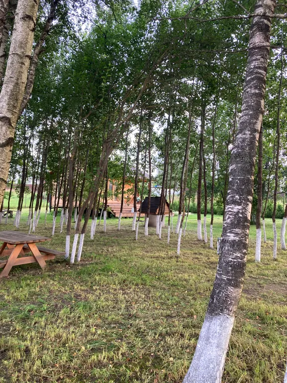 Домик с печью/камином в окружении природы