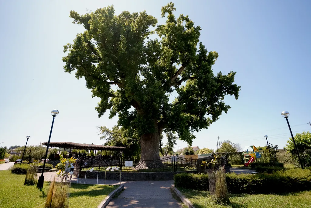 Домик у моря