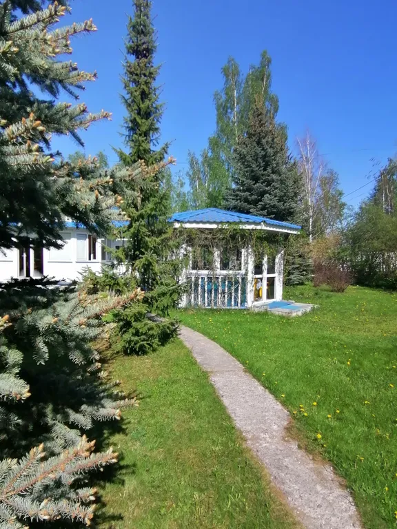 Коттедж Уютный загородный домик среди елок рядом с городом — Янино-1