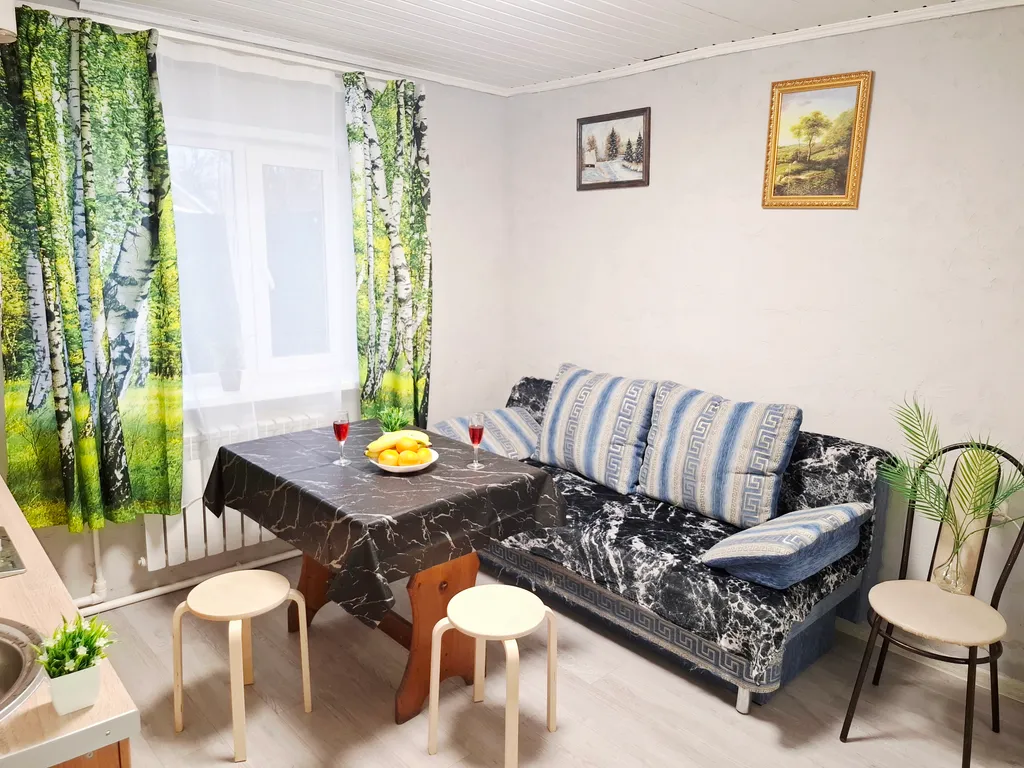 Квартира евро 2-комнатная расположена в части жилого деревенского дом