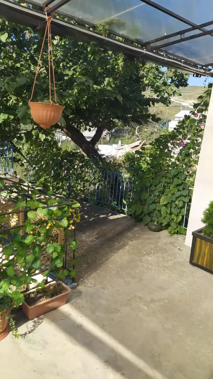 Апартаменты с видом на горы