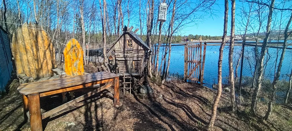 Дом у Светланы Алешиной