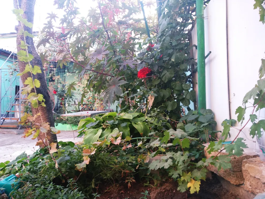 Коттедж 2-комнатный дом в исторической части города — Евпатория