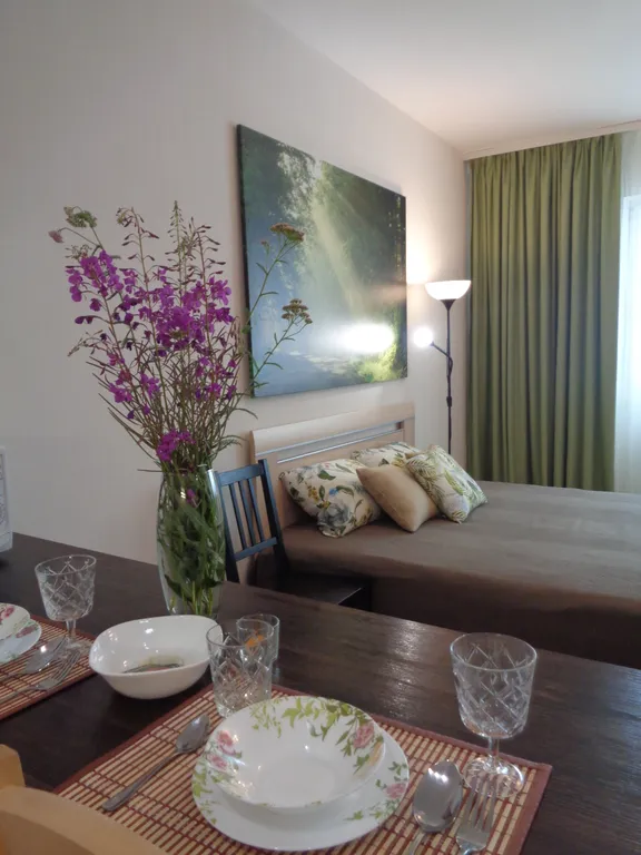 Квартира Уютная студия рядом с Политехом — аренда посуточно в Иркутск