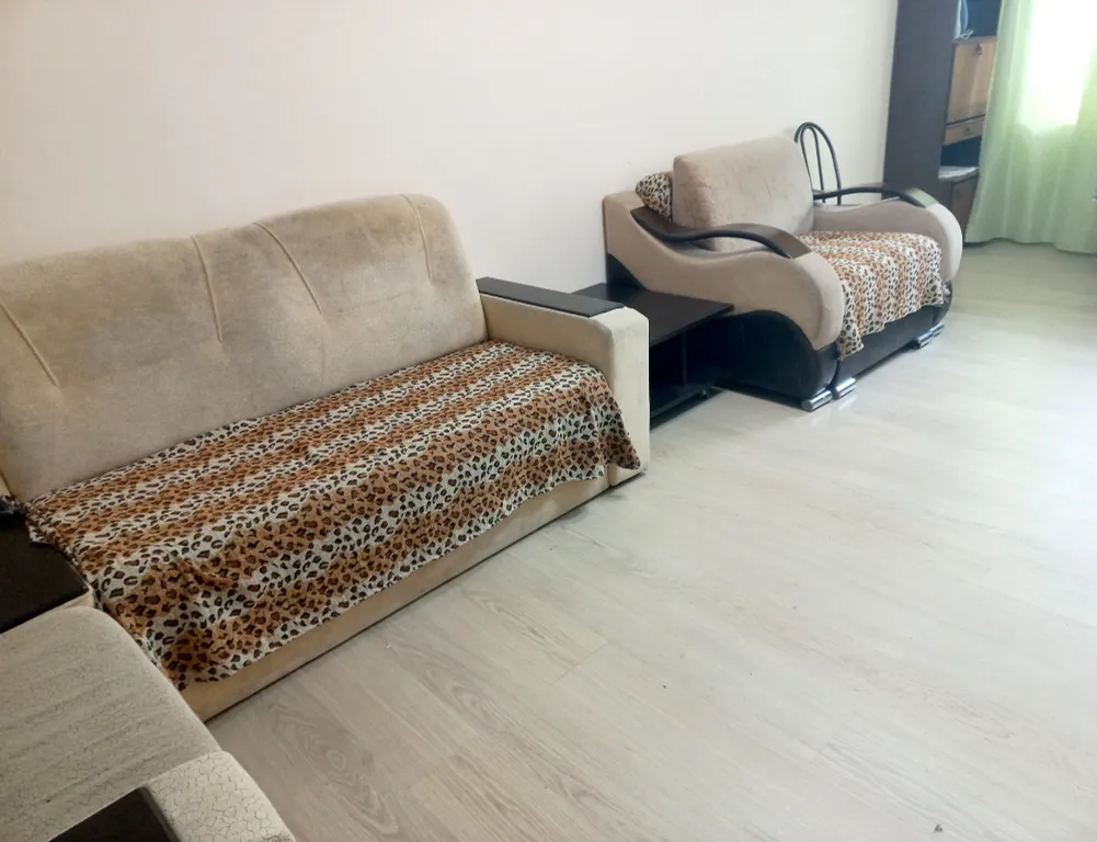 Большая квартира в современном районе