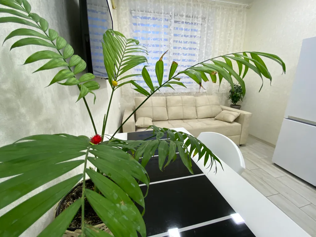 Апартаменты у моря на первой линии