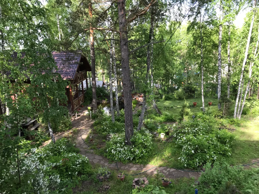 Сказочный дом в лесу