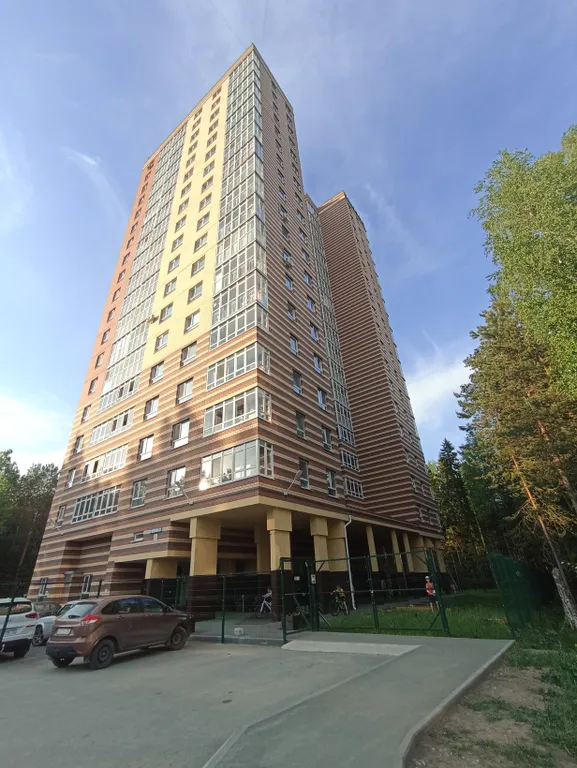 Студия у леса