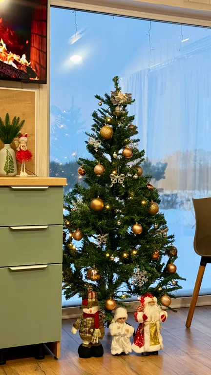 1-комнатный Дом