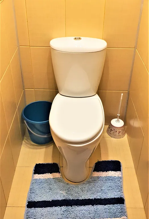 Двухкомнатная квартира с ремонтом