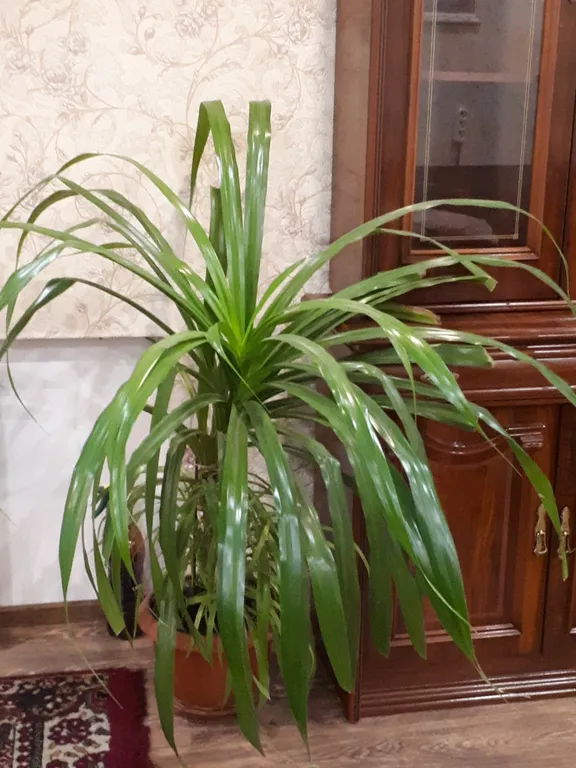 Квартира у площади Ленина