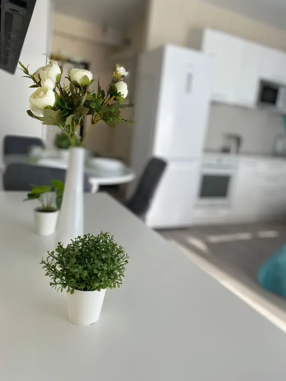 Просторная студия у моря