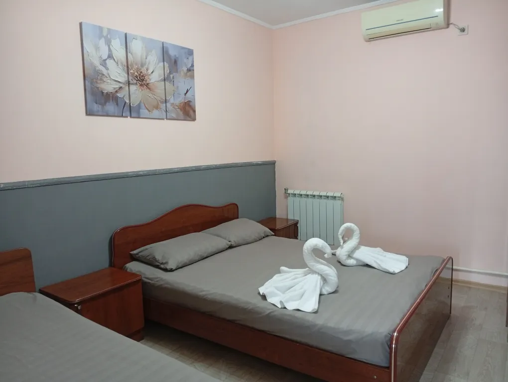 с одной двуспальной или 2 односпальными кроватями и доп спальным мест