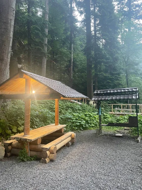 Домик в лесу