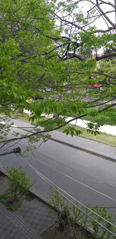 Квартира у моря