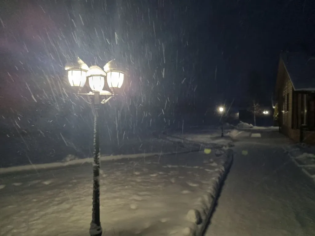 Загородный дом в национальном заповеднике