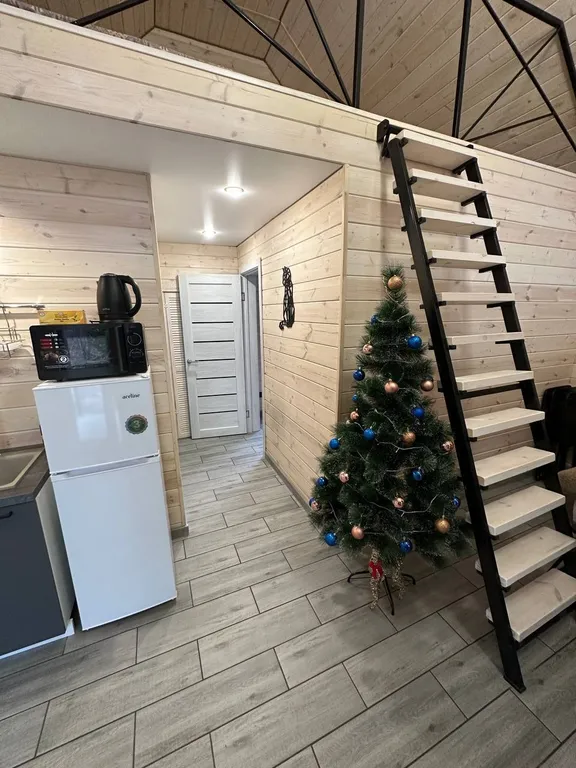 Уютный дом с купелью и бассейном  ( "Барн малый ")