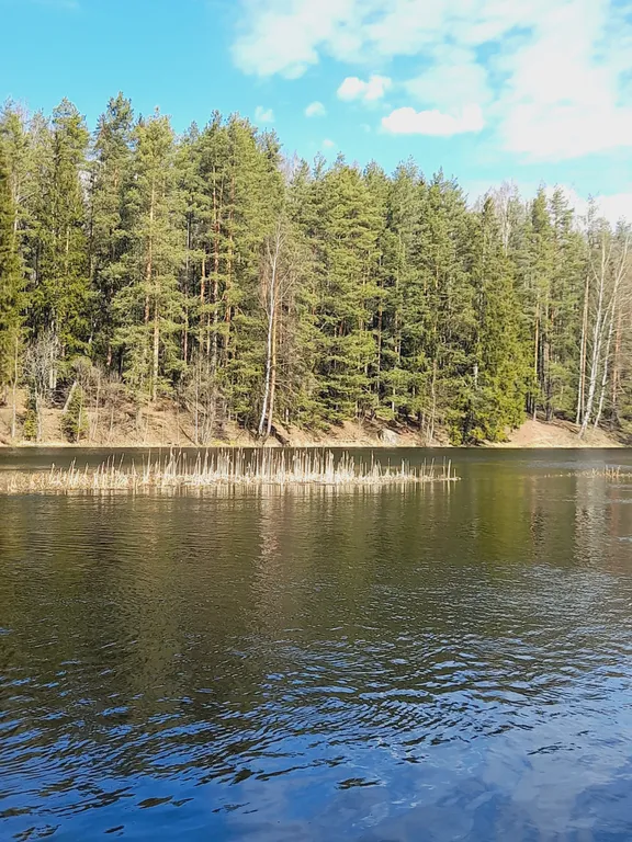 Коттедж Дом Симанского — Сиверский