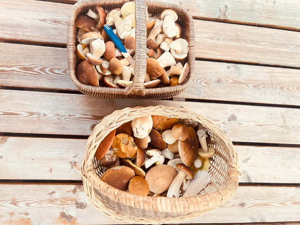 Коттедж Новый комфортабельный дом на берегу лесного озера Маролампи — Стеклянный