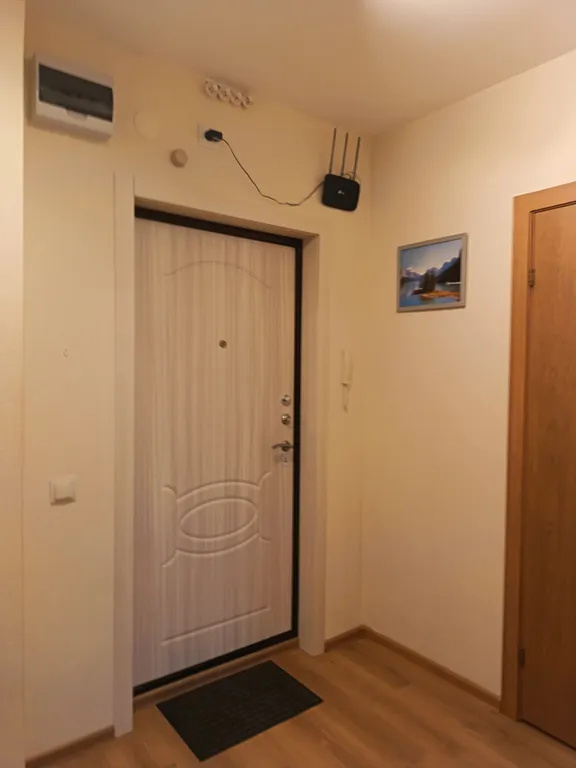 Квартира Однокомнатная квартира у НИИ Петрова — Песочный